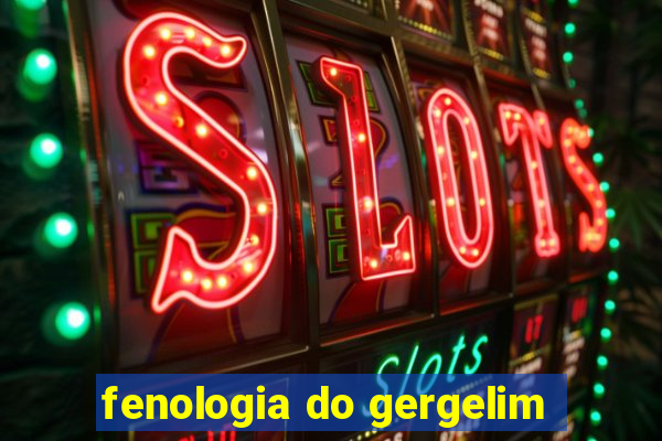 fenologia do gergelim